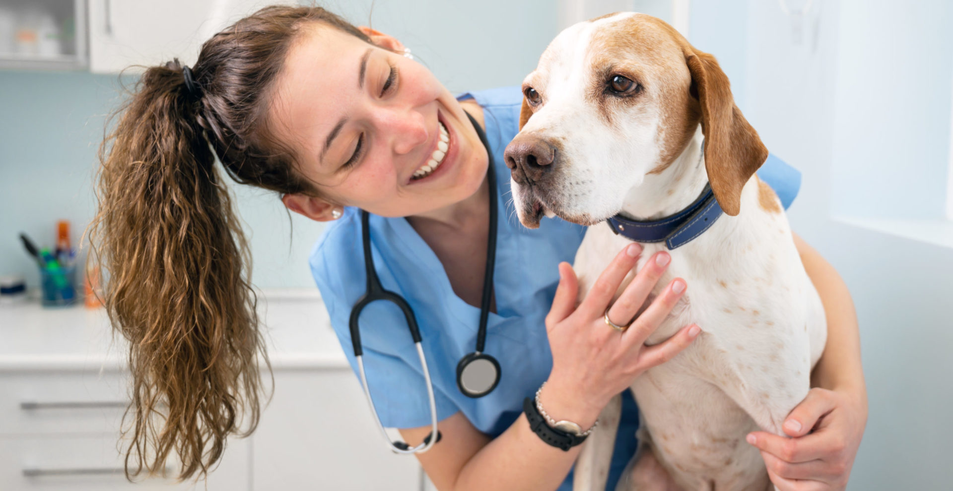 Medicina Veterinária - Universidade São Judas Tadeu