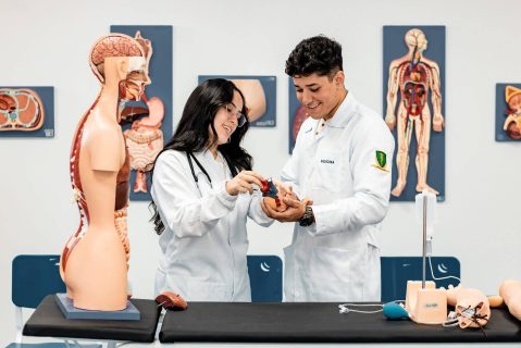 Ciclo básico de Medicina: o alicerce do curso