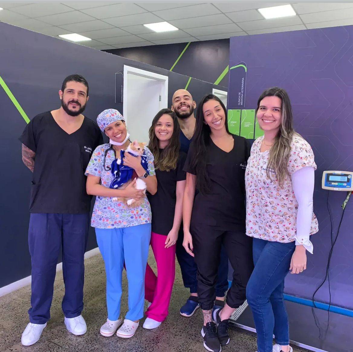 VetWeek promove campanha de adoção e vacinação de animais